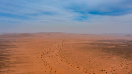 Moroccan Sahara Desert, ancient black volcanic mountains, the Sahara River Oued Ghris, stunning Acacia trees, wild camels, and desert camp,  landscape where golden sand dunes merge with green plants