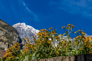 Obraz premium Val Ferret mountain landscape in the Alps. Tour du Mont Blanc beautiful scenic view from the hiking path on the way from Itlay to Switzerland. Alpine meadow and high snow peaks of the Alps on the sun