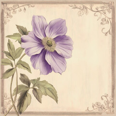 Fototapeta premium purple flower on vintage paper with soft vin