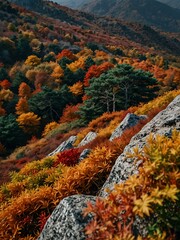 Autumn leaves on Mount Gassan.