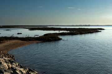 Paysage de Camargue en France autour de  l'étang du Fangassier