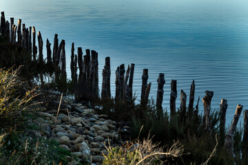 Paysage de Camargue en France autour de  l'&eacute;tang du Fangassier