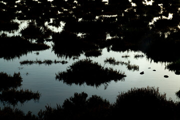 Paysage de Camargue en France autour de  l'&eacute;tang du Fangassier
