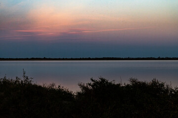Paysage de Camargue en France autour de  l'étang du Fangassier