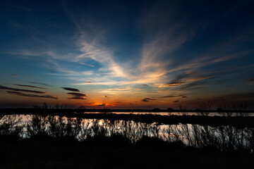 Paysage de Camargue en France autour de  l'&eacute;tang du Fangassier