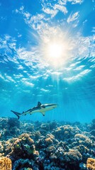 A serene underwater scene featuring a shark swimming over vibrant coral reefs, illuminated by sunlight filtering through the water's surface.