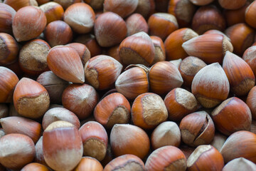 Close-Up of Shelled Hazelnuts