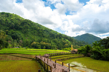 Big gold Buddha statue with green rice filed at Wat Na Khu Ha Temple. Phrae, Thailand