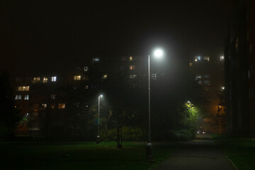 A serene urban park, softly illuminated by streetlights, creates a tranquil atmosphere on a foggy night, with buildings visible in the background creating a picturesque cityscape scene