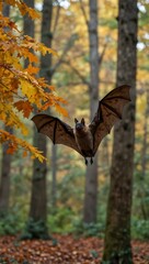 Bat in flight among autumn leaves in a peaceful forest.