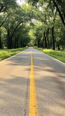 Fototapeta premium Winding forest road lined with tall trees and dappled sunlight during late afternoon