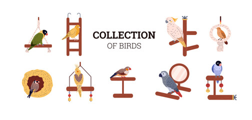 Vector illustration of a banner with a collection of domestic birds with cage accessories. © Kudryavtsev