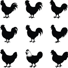 Silhouettes chicken Vector. hen. rooster. black isolated white background