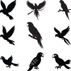 Vector parrot silhouettes of Amazon jungle isolated on a white background, Flying Parrot