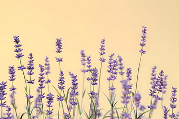 pastel lavender flowers on soft yellow background - aromatic and relaxing 3d render. generative ai