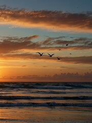 Naklejka premium Birds flying in formation at sunset over the ocean.