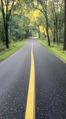 Fototapeta premium Winding forest road lined with tall trees and dappled sunlight during late afternoon