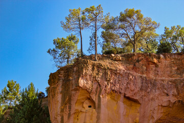 Fichten auf den orangefarbenen Ockerfelsen von Roussillon