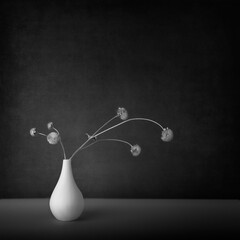 Fine Art Black and White image dried sunflowers in a small white vase