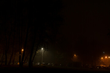 A serene foggy night illuminated by street lights, with silhouetted trees creating an atmospheric...