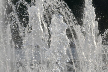 fountain in the park
