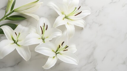 Obraz premium An artistic arrangement of white lilies on a polished marble surface, top-down shot, Classic style