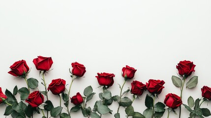 An artistic composition of vibrant red roses against a soft ivory backdrop, close-up shot, Minimalist style