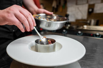 A chef skillfully plates a gourmet dish, using a ring mold for precision. The kitchen's vibrant atmosphere enhances the culinary artistry displayed in this food preparation scene.