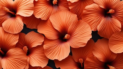 Obraz premium Close-up view of multiple vibrant orange hibiscus flowers with detailed petals and prominent stamen, overlapping on a dark background, showcasing natural beauty.