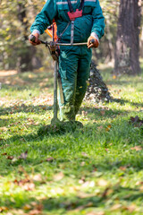 Gardener trims grass in a sunny forest clearing during autumn in a serene, green landscape
