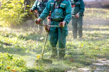 Gardinen Ground workers maintain landscaping by trimming grass with equipment in a green park area during daylight hours © zphoto83