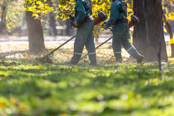 Workers maintain a park landscape with grass trimming equipment on a sunny day in autumn