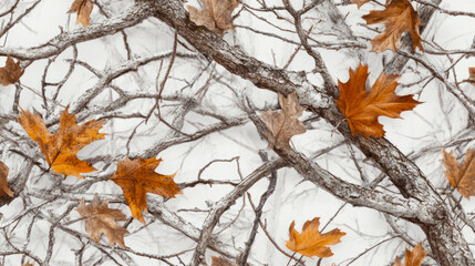 Autumn leaves on bare branches in a winter wonderland scene