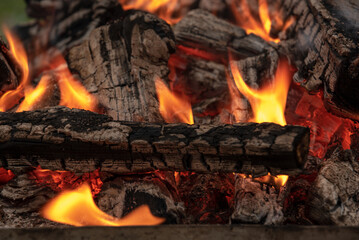 close-up of a burning campfire