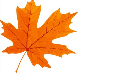 Obraz premium an orange maple leaf on a white background It is a clipart of a maple leaf, with its vibrant orange color standing out against the stark white backdrop The leaf i