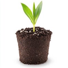 A vibrant green seedling emerging from dark potting soil. isolated on white background.