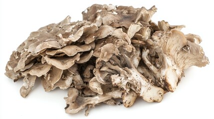  a pile of oyster mushrooms on a white background The mushrooms have a light brown color with white spots and a slightly wrinkled texture They are arranged in a ne