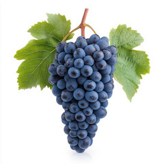 Fototapeta premium Fresh, ripe grape cluster with vibrant green leaves. isolated on white background.