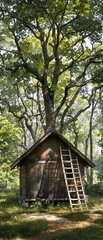 A quaint wooden hut nestled among tall trees with ladders leading up to it, remote, hideaway
