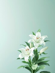 Fototapeta premium Artistic interpretation of white lilies with green leaves, white lilies, interpretation, floral abstract, watercolor