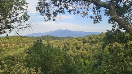 Le Roussillon et la vallée du Tech vus depuis Llauro