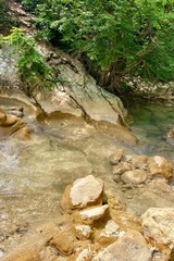 Naklejka premium A mountain river flows in a forest, a landscape, a summer day, a forest grows along the banks of the stream.