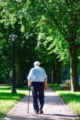 A thoughtful elderly man with a cane walking along a shaded park path, highlighting themes of independence and aging in a tranquil setting. Generative AI