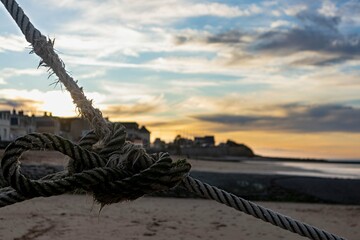 Obraz premium Noeud sur une plage normande