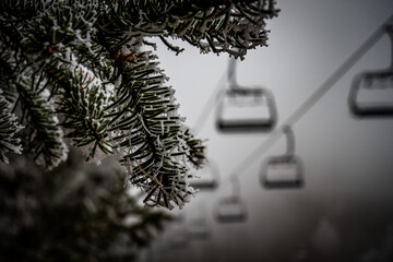 a chair lift in the background of a fir