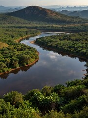 Fototapeta premium Cerrado nature in Brazil, a vast tropical biome.
