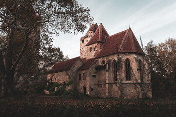 Fototapeta premium castle in the middle of the forest