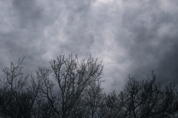 Dramatic storm clouds in sky on glum evening with tree silhouettes in background with bare branches.