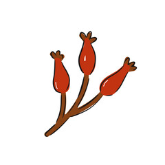 Hand drawn branch with bright red berries featuring three clusters on slender stems