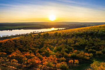 Obraz premium Sonne strahlt über die herbstlich gefärbten Bäume und Weinberge am Ufer des Süßen See